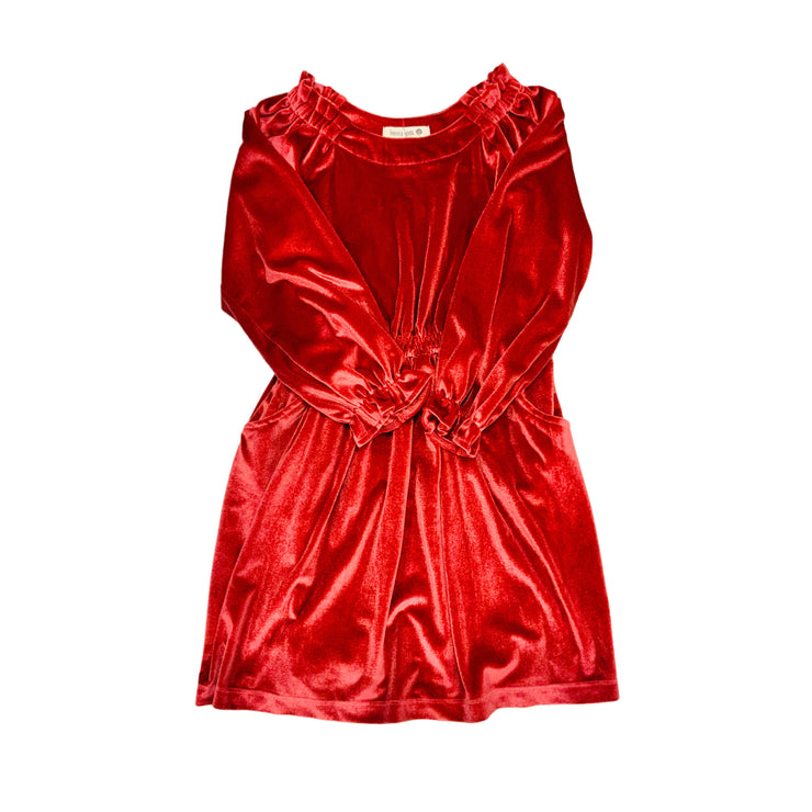 Rose Velour Dress