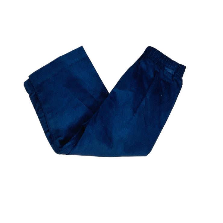 Navy Cord Leo Pant_z25