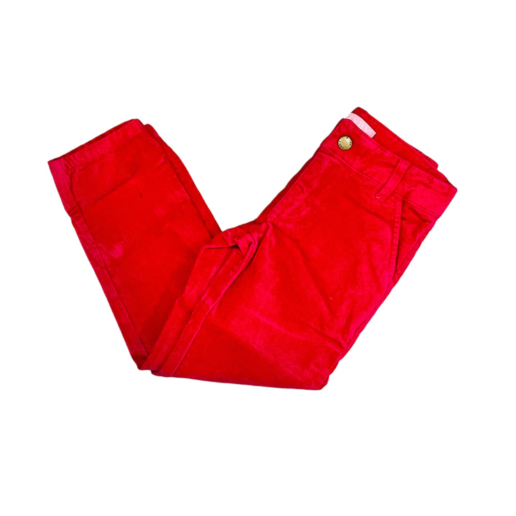 Bougainvillea Velvet Twig Pant